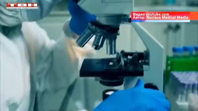 Как вирус попадает в организм смотреть онлайн
