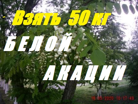 Взять 50 кг мёда Белой Акации.Какой силы,когда купить пакет пчёл.Ускоренное развитие пчелосемей. смотреть онлайн