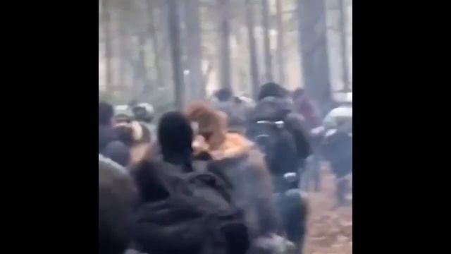 Что происходит прямо сейчас на польской границе смотреть онлайн