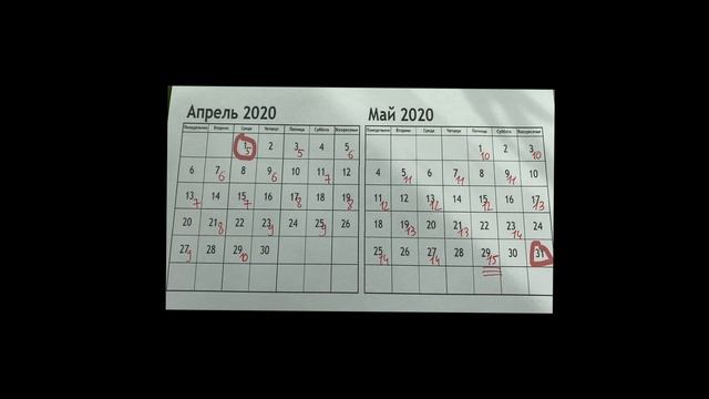 15 ПОДТЯГИВАНИЙ за 2 МЕСЯЦА в 12 ЛЕТ. ВЫЗОВ. Первое видео на канале. смотреть онлайн