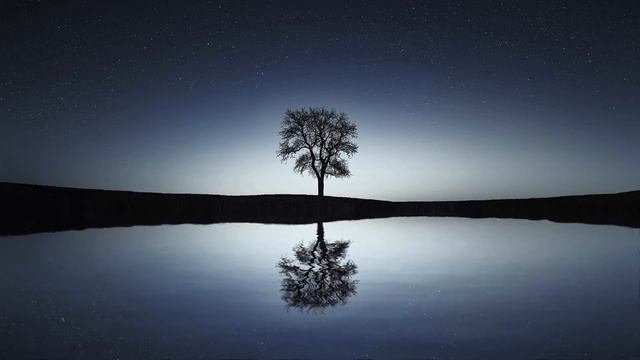 Ночное озеро, звуки природы, музыка для сна. смотреть онлайн