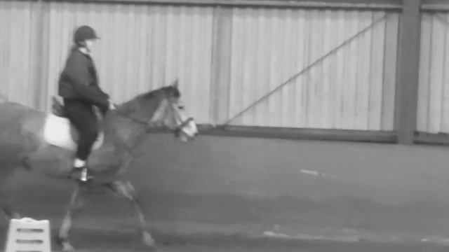 Artimis - My New Horse смотреть онлайн