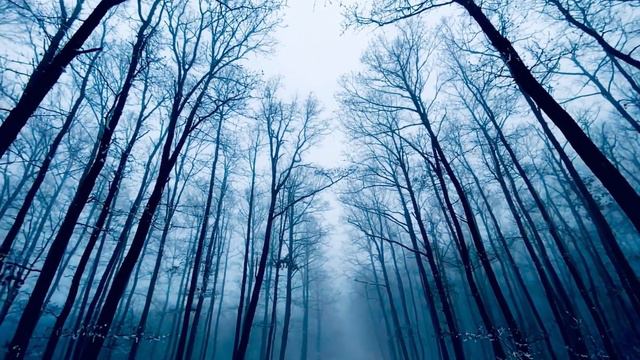 49 Mins Of Peaceful Meditation & Relaxation Music, Soul Touching Music