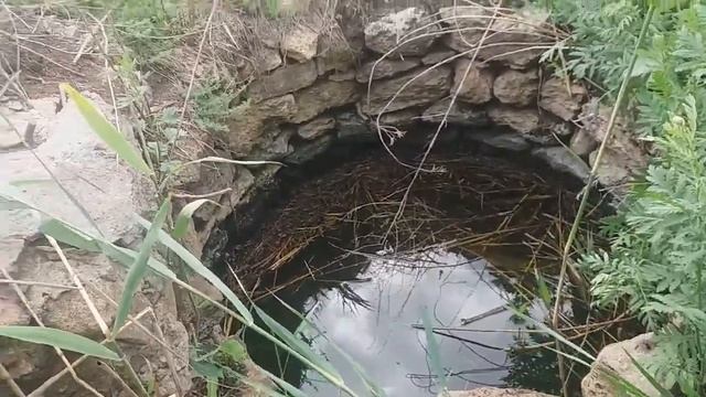 Невиданные красоты одесской степи: добываем пчелам воду смотреть онлайн