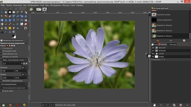 50. Gimp. Шаг за шагом. Каналы.