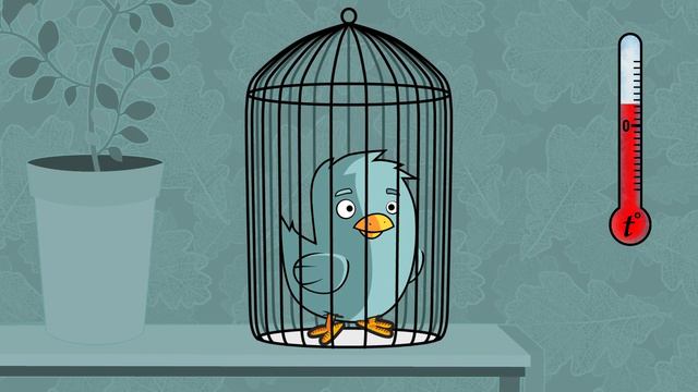 Зимняя детская верхняя одежда. Смолл Сити. смотреть онлайн