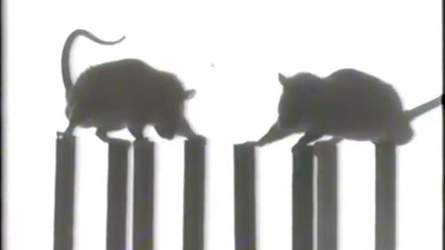 Дрожательный паралич, паркинсонизм, тремор © Shaking paralysis, tremor, treatment, Parkinsonism смотреть онлайн