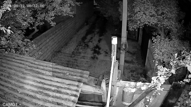 Белгородская романтика 12.08.22 ; 00:30ч. смотреть онлайн