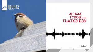 Ислам Гуков - Гъатхэ бзу | KAVKAZ MUSIC