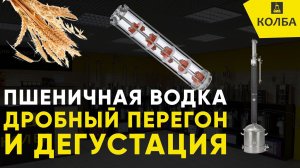 Пшеничная водка. Дробный перегон и дегустация