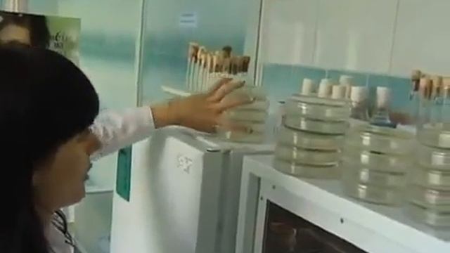 Белита Витекс смотреть онлайн
