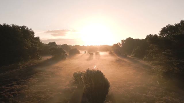 🔴 Памяти Евгения Кунгурова ДЕЖАВЮ смотреть онлайн