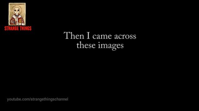 Best Reptilian Shapeshifting Compilation (2018-2019)