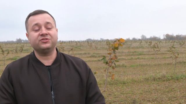 Як на Рівненщині вирощують фундук смотреть онлайн