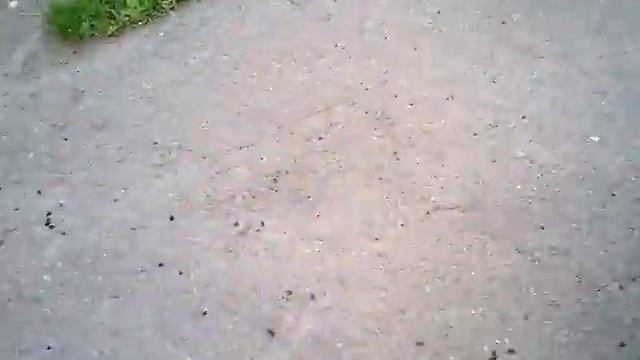 Тестирование клинка из булатной стали (3) смотреть онлайн