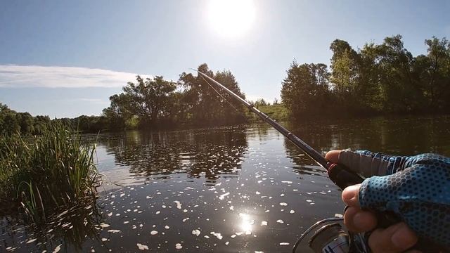 Ловля на реке Дон | Липецкая область | Перекаты Дона смотреть онлайн