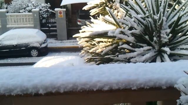 Nevada Marratxi смотреть онлайн