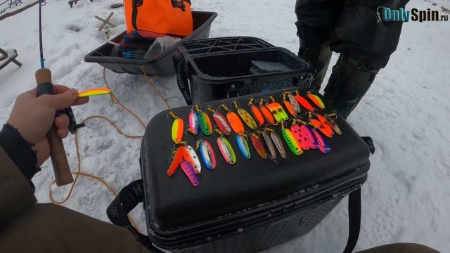 Ловля форели со льда. Пробую что это такое. Ловля на актив - блесна и вибы против пасты. #OnlySpin смотреть онлайн