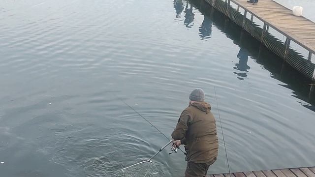 5.04.23 КРХ Белая Дача ,запуск северной форели,актив работает,железо в приоритете!Навеска от 1.5 кг смотреть онлайн