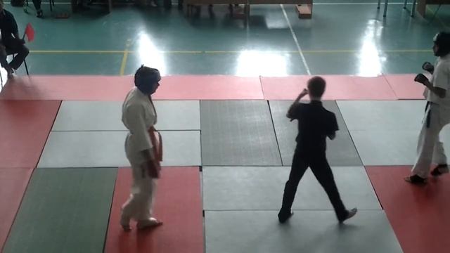 Каратэ Шинкиокушинкай