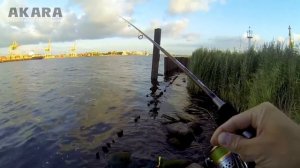 Особенности ловли судака на дроп-шот.