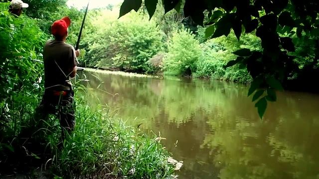 Рыбалка на реке. Фидер и донки- ловим сазана, голавля и густеру. смотреть онлайн