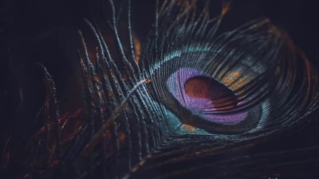 Krishna music, flute music, meditation relaxing music,sitar music смотреть онлайн