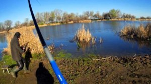 ловля карася на удочку  волга залив Энгельс