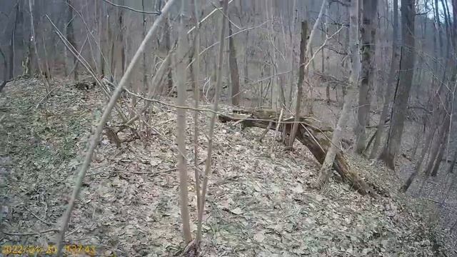 ПРОЛОГ- "БорСук"ОТ СОЗДАТЕЛЯ.(Калуга) смотреть онлайн