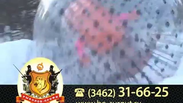 База отдыха "Рыболов профи", Ханты-Мансийский АО смотреть онлайн