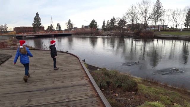 Ищем спрятанный ПОДАРОК по подсказкам! Новогодний челлендж Treasure Hunt-найди 10 подсказок в парке смотреть онлайн