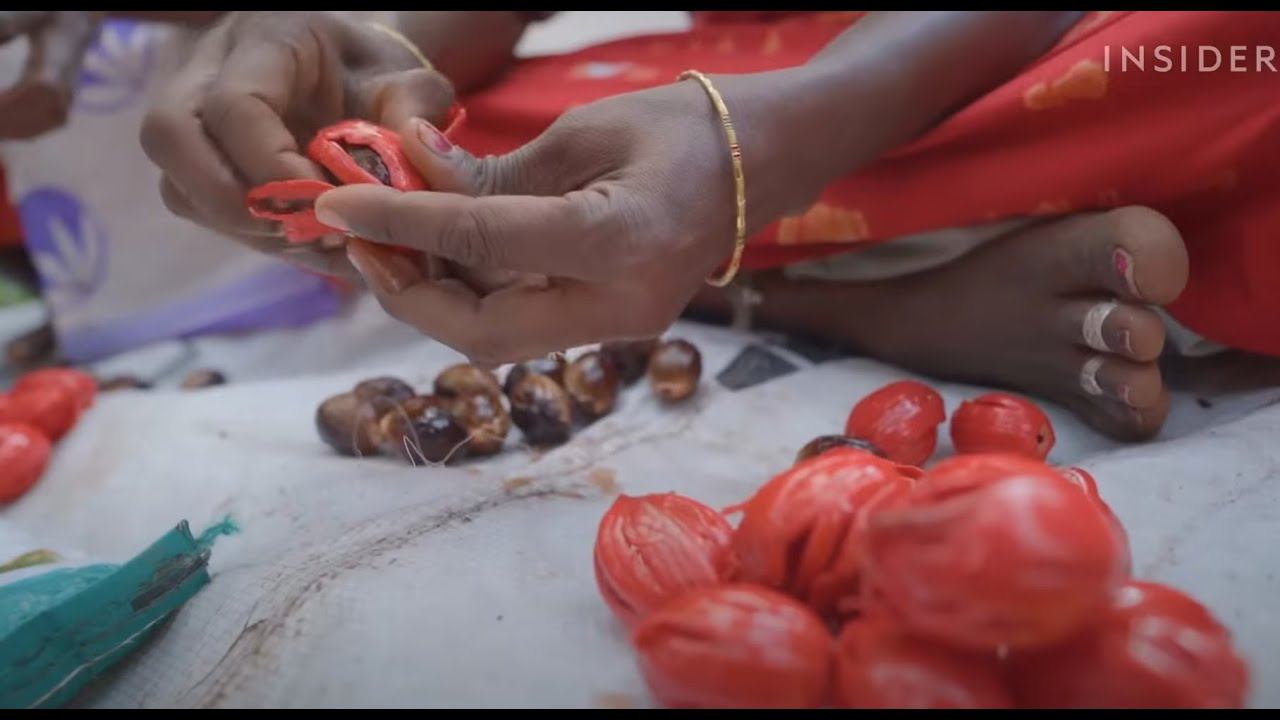 Как растет мускатный орех и в чем его ценность смотреть онлайн