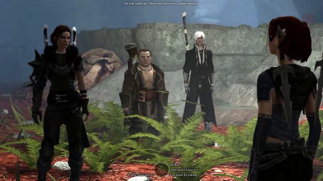 Dragon Age II - Flirting With Tallis 2 (Fenris Romance) смотреть онлайн