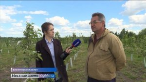 Где во Владимирской области выращивают персики?