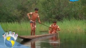 Ози Бу! Защити планету - Что растёт на нашей Земле - Амазонский лес