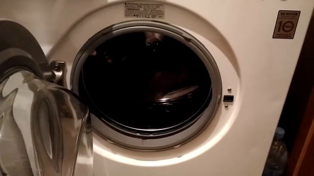 Хорек залез в стиральную машину смотреть онлайн