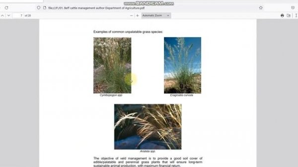 PTRZ Ransomware Recovery Tool | Decrypt .PTRZ virus Files | How to Remove PTRZ Virus