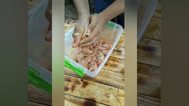 Шашлык из куриных крылышек смотреть онлайн