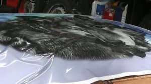 Наклейка на капот ВОЛК 2