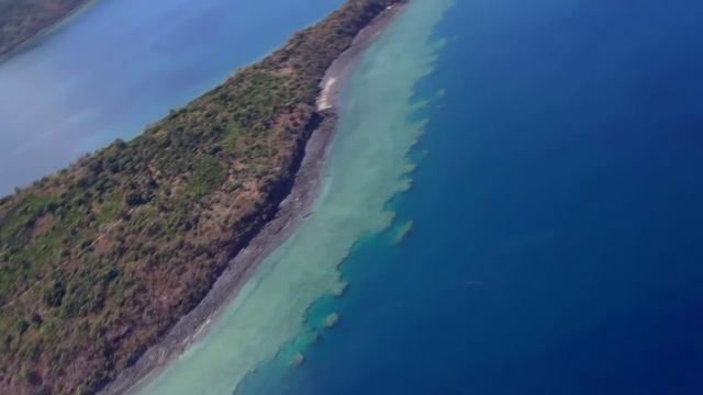 Анимационные Сериалы