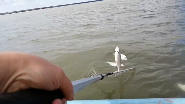 Рыбалка на Оби. Трое из ларца одинаковы с лица. смотреть онлайн