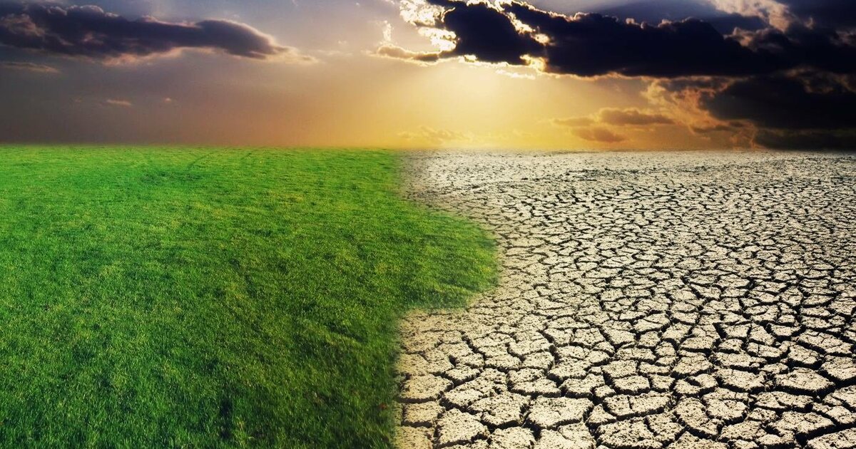 Возможно ли огромную пустыню превратить в зеленый лес?! #humus soil#garden смотреть онлайн