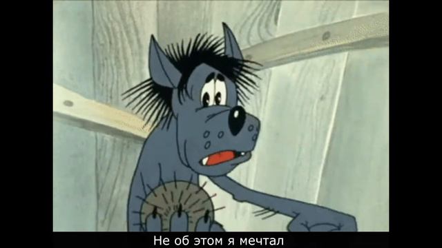 QR коды, QR коды