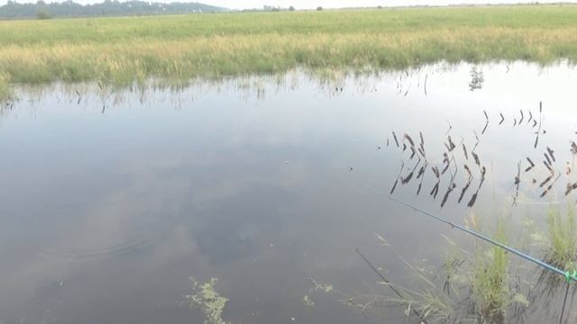 Куда поехать на рыбалку в Хабаровске, рыбалка на разливах, ловим карася! смотреть онлайн