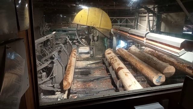 timber time 101010 смотреть онлайн