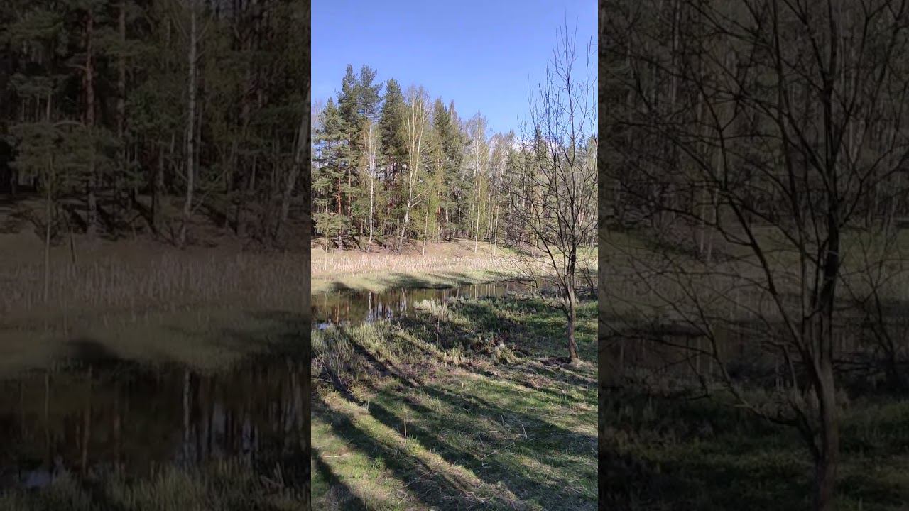 весна смотреть онлайн