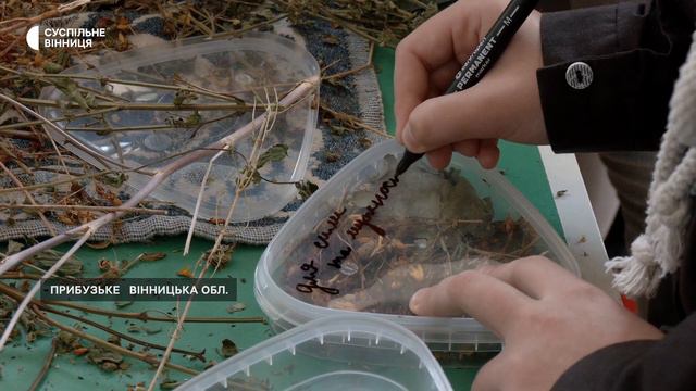 Чебрець, м'ята, липа, ромашка, звіробій: школярі на Вінниччині формують для оборонців трав'яні чаї смотреть онлайн