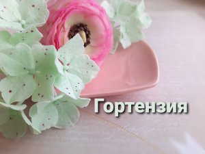Гортензия из холодного фарфора. Подробный МК.