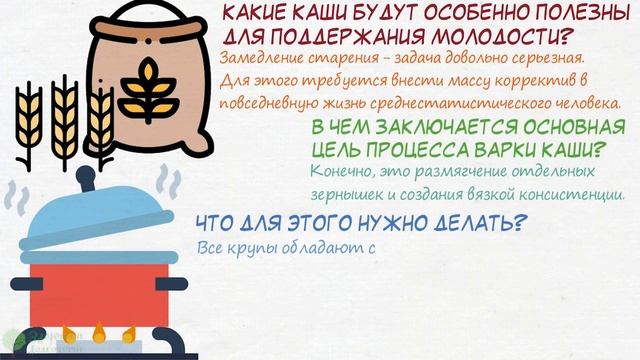 Жаль, что 99% стариков не знают об этом! Вот как кашами замедлить старение! Как не стареть смотреть онлайн