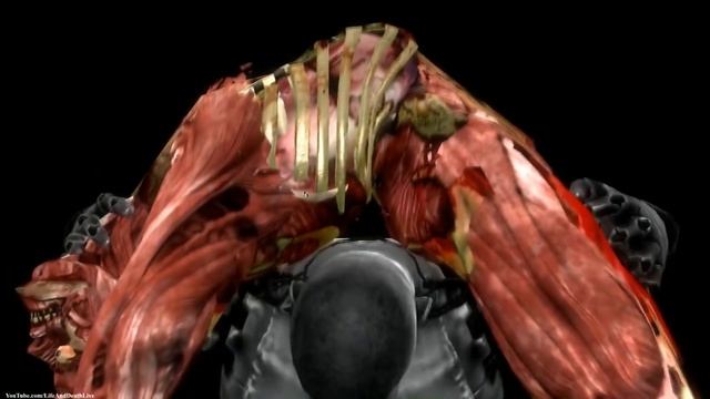 Mortal Kombat 9 Komplete Edition - All X-Rays on Skully "Meat" NPC (HD) смотреть онлайн